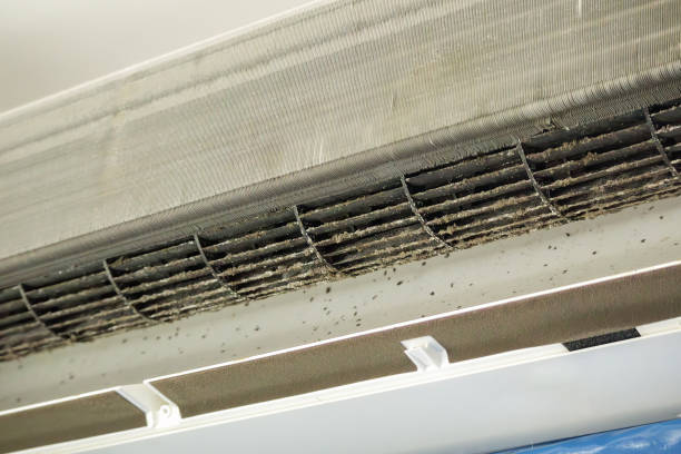 Best Air Duct Cleaning Near Me  in Meadowbrook, VA