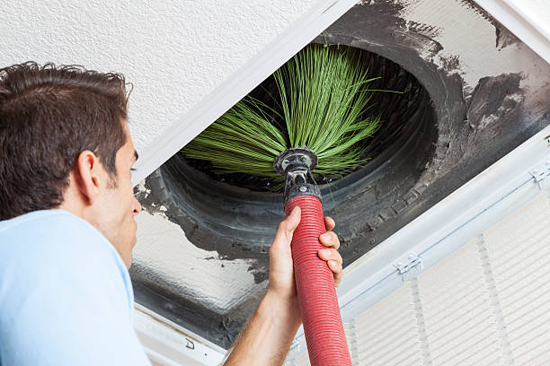 Best HVAC System Cleaning  in Meadowbrook, VA